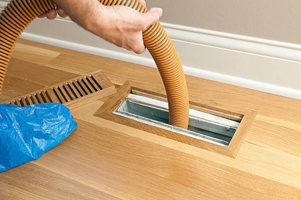 Air Duct Mold Removal in WV